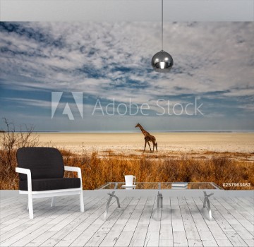 Image de Giraffe walking on the Etosha Pan in Etosha National Pak in Namibia